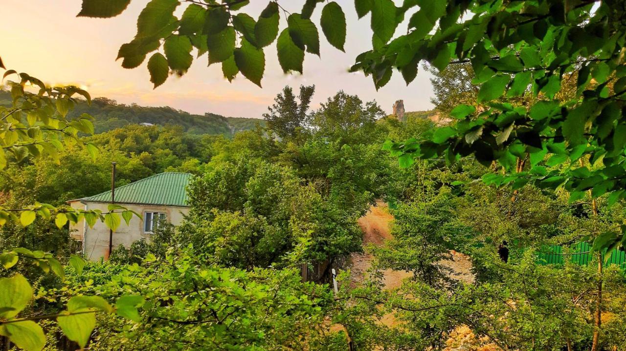 Vaso'S Guesthouse Katskhi Dış mekan fotoğraf