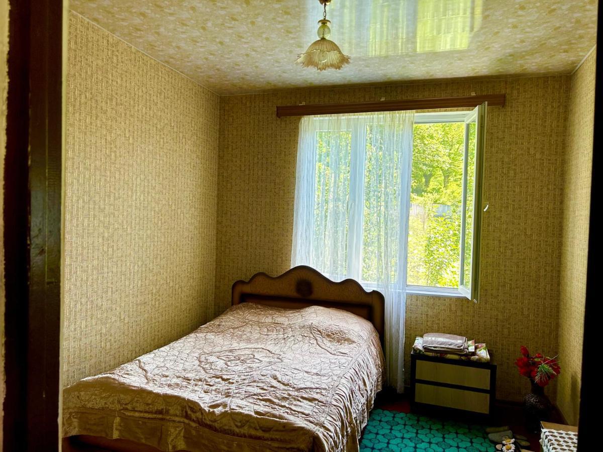 Vaso'S Guesthouse Katskhi Dış mekan fotoğraf