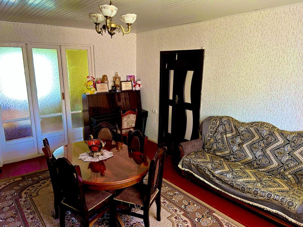 Vaso'S Guesthouse Katskhi Dış mekan fotoğraf